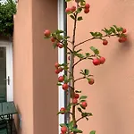 Oda ve Kahvaltı Casabella-lago Maggiore Lesa